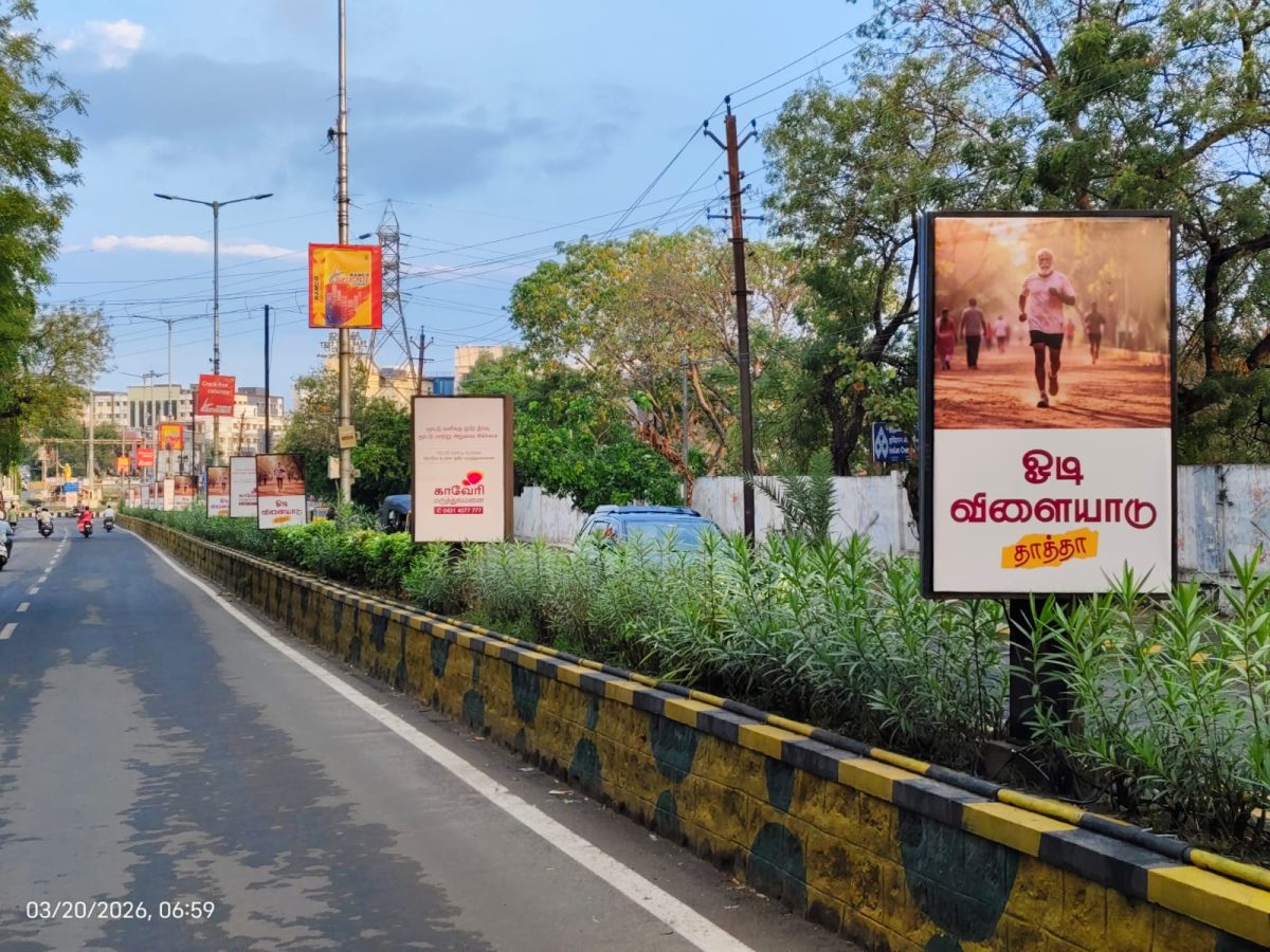 Bharathidasan Road Center Median - Trichy